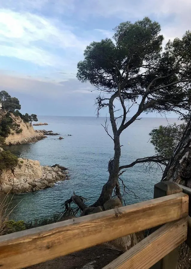 トッサ・デ・マールLes Terrasses De Cala Llevadoアパートメント スペイン