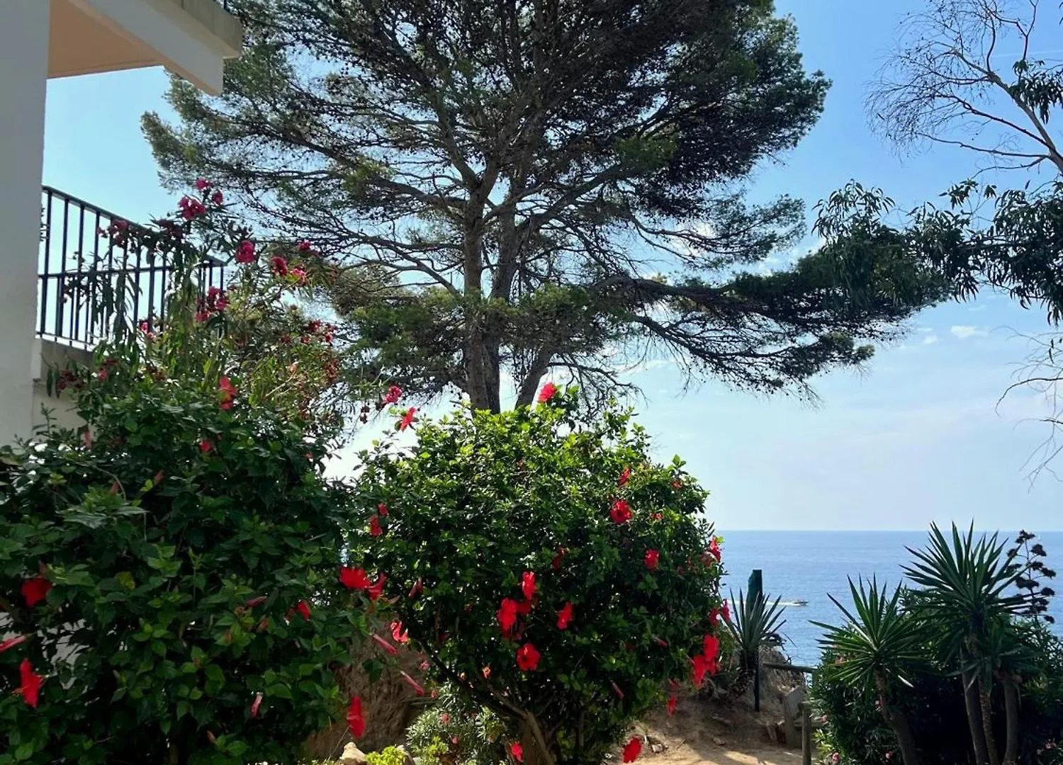 アパート トッサ・デ・マールLes Terrasses De Cala Llevadoアパートメント